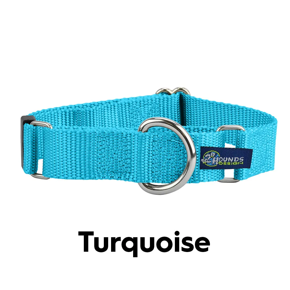 5/8″ and 1″ Turquoise Nylon Dog Collar