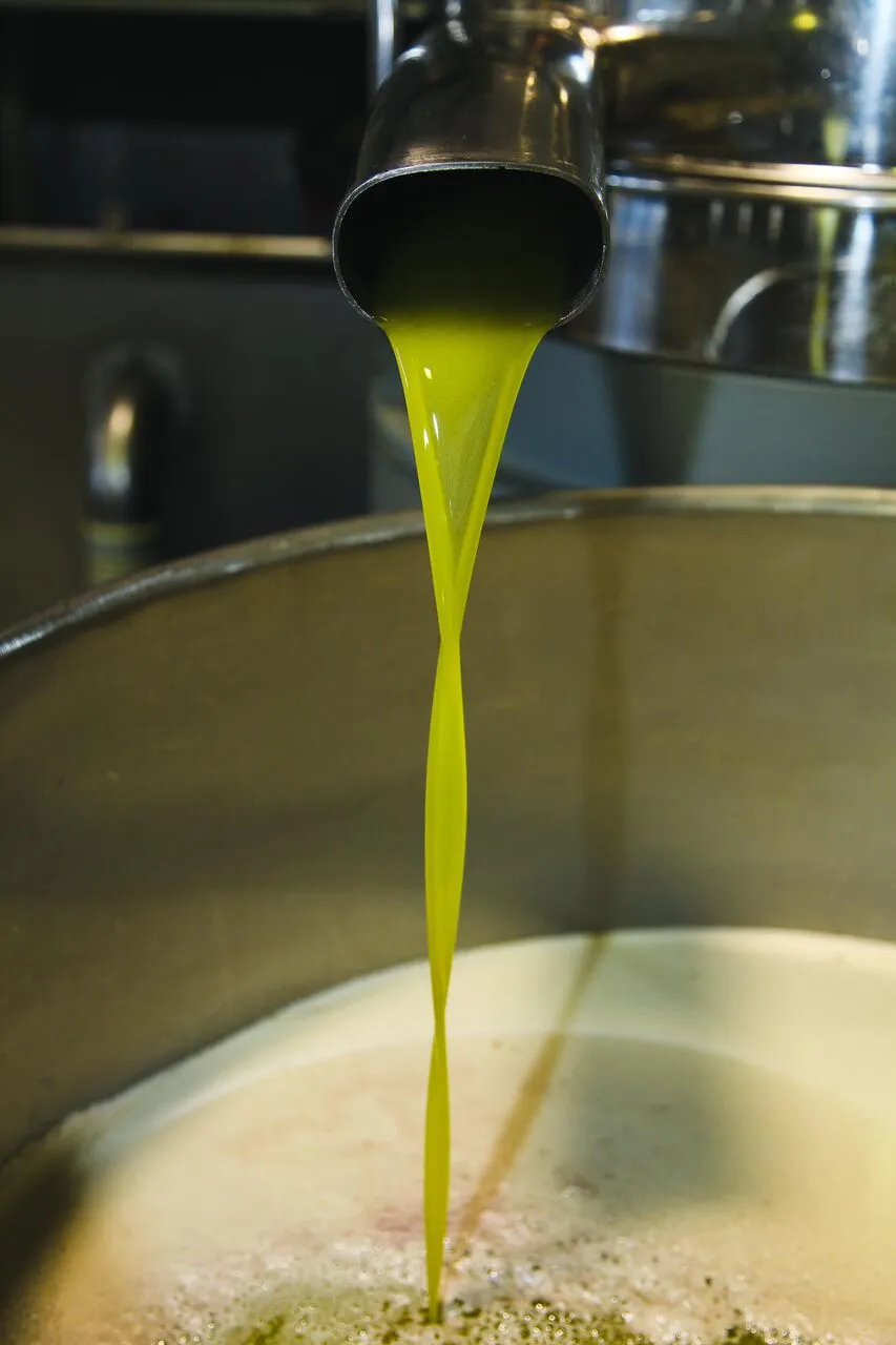 Arbequina Extra Virgin Olive Oil