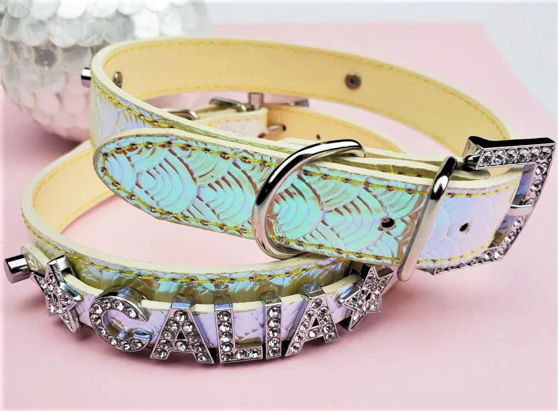 Baby Dragon Golden Blush Collar Personalized Pet Collar