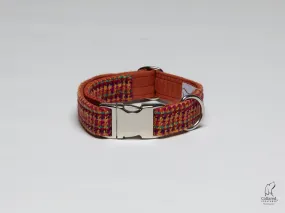 Bright and Bold Extra Large Dog Collar