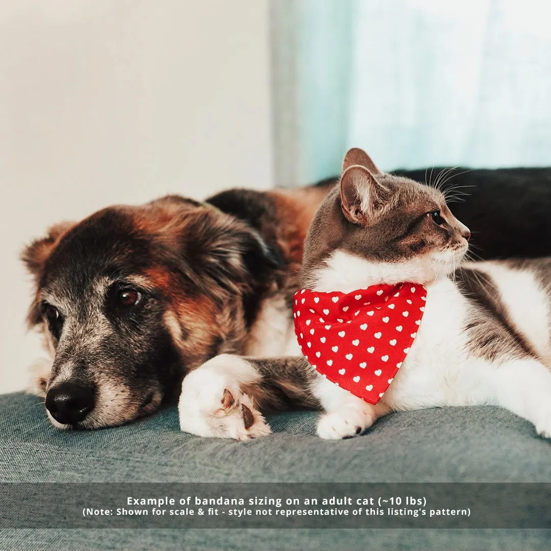 Cat Bandana - "Starry Night" - Gold & Blue Bandana for Cat   Small Dog / Winter, Holiday, Space, Night Sky / Slide-On Over the Collar Bandana