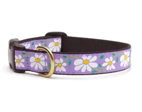 Daisy Dog Collar