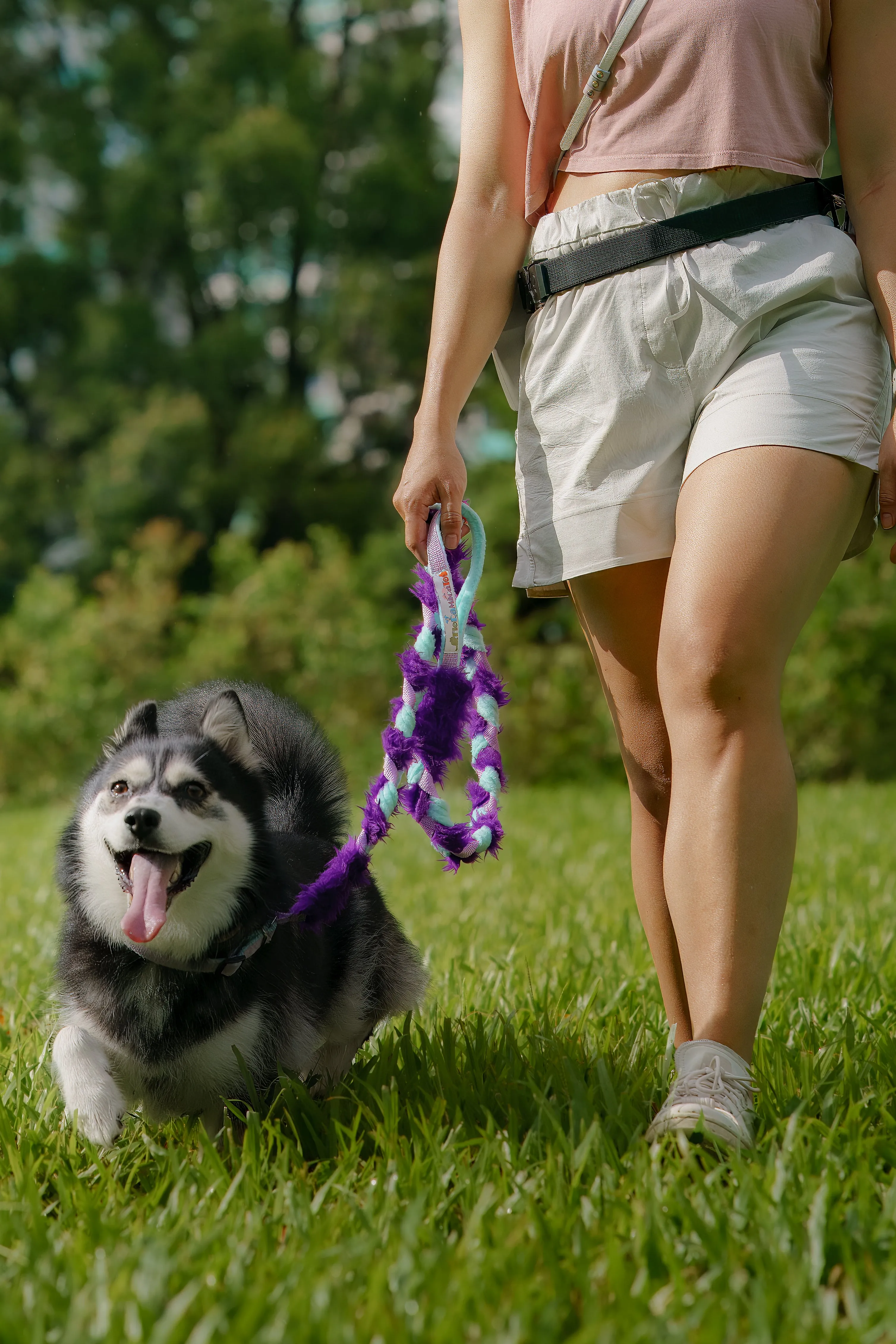 Floramicato - Fluffy Leash   Martingale Collar (Faux Fur)