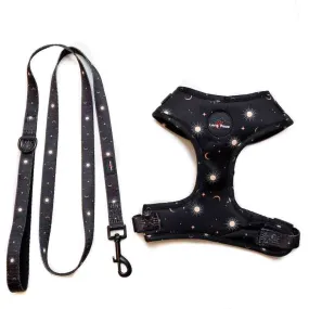 Funk the Dog Harness & Lead Set | Night Sky