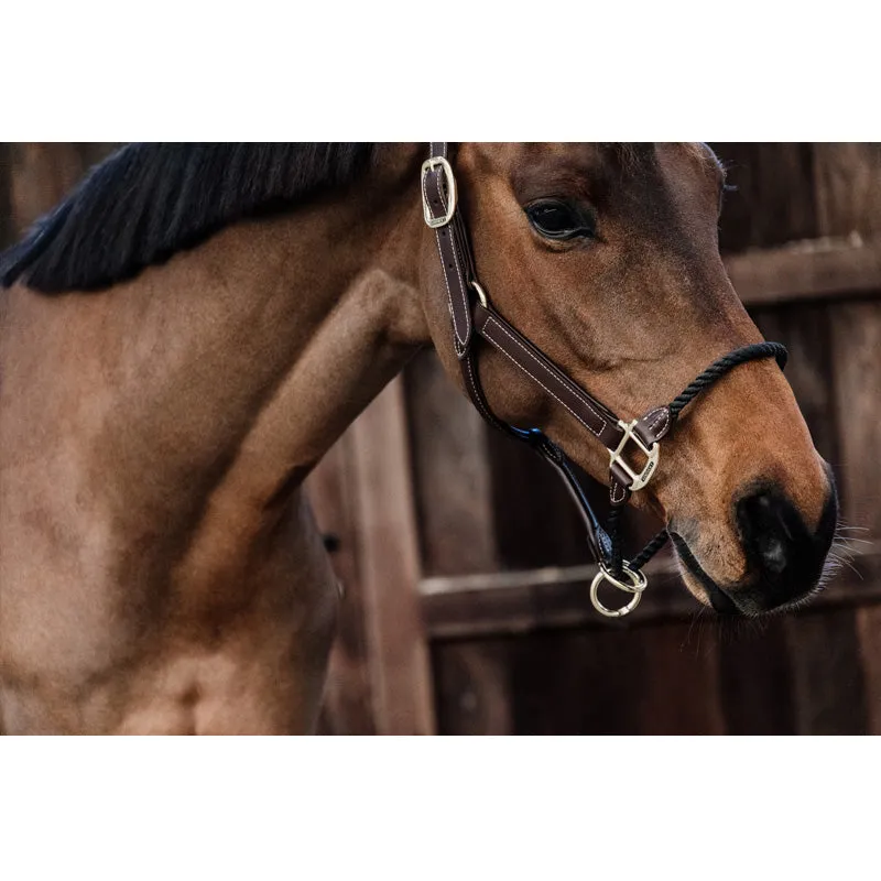 Kentucky Rope Headcollar