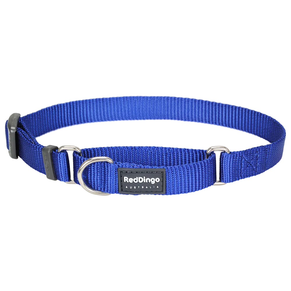 Red Dingo Dog Martingale Collar Dark Blue (25mm x 41-63cm)