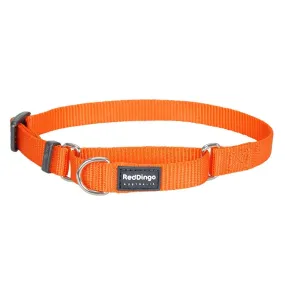 Red Dingo Dog Martingale Collar Orange (15mm x 24-36cm)