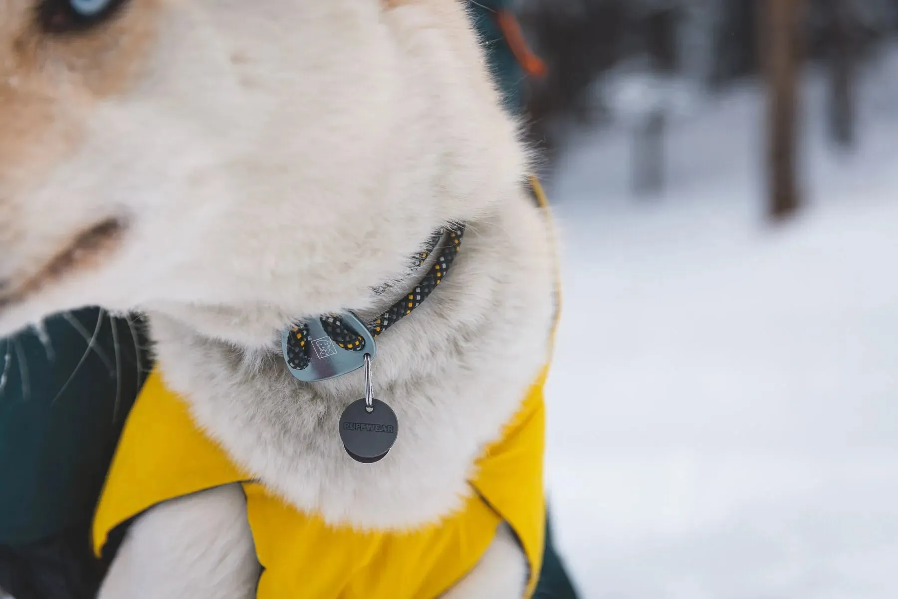 Ruffwear Knot-a-Collar™ Reflective Rope Dog Collar (Blue Pool)