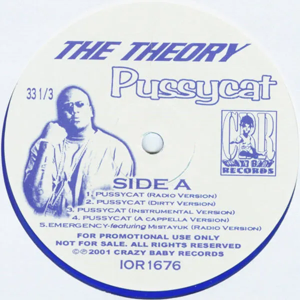 The Theory - Pussycat (12", Promo, Lim) (VG )