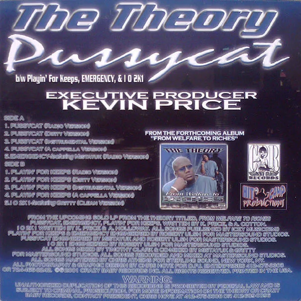 The Theory - Pussycat (12", Promo, Lim) (VG )