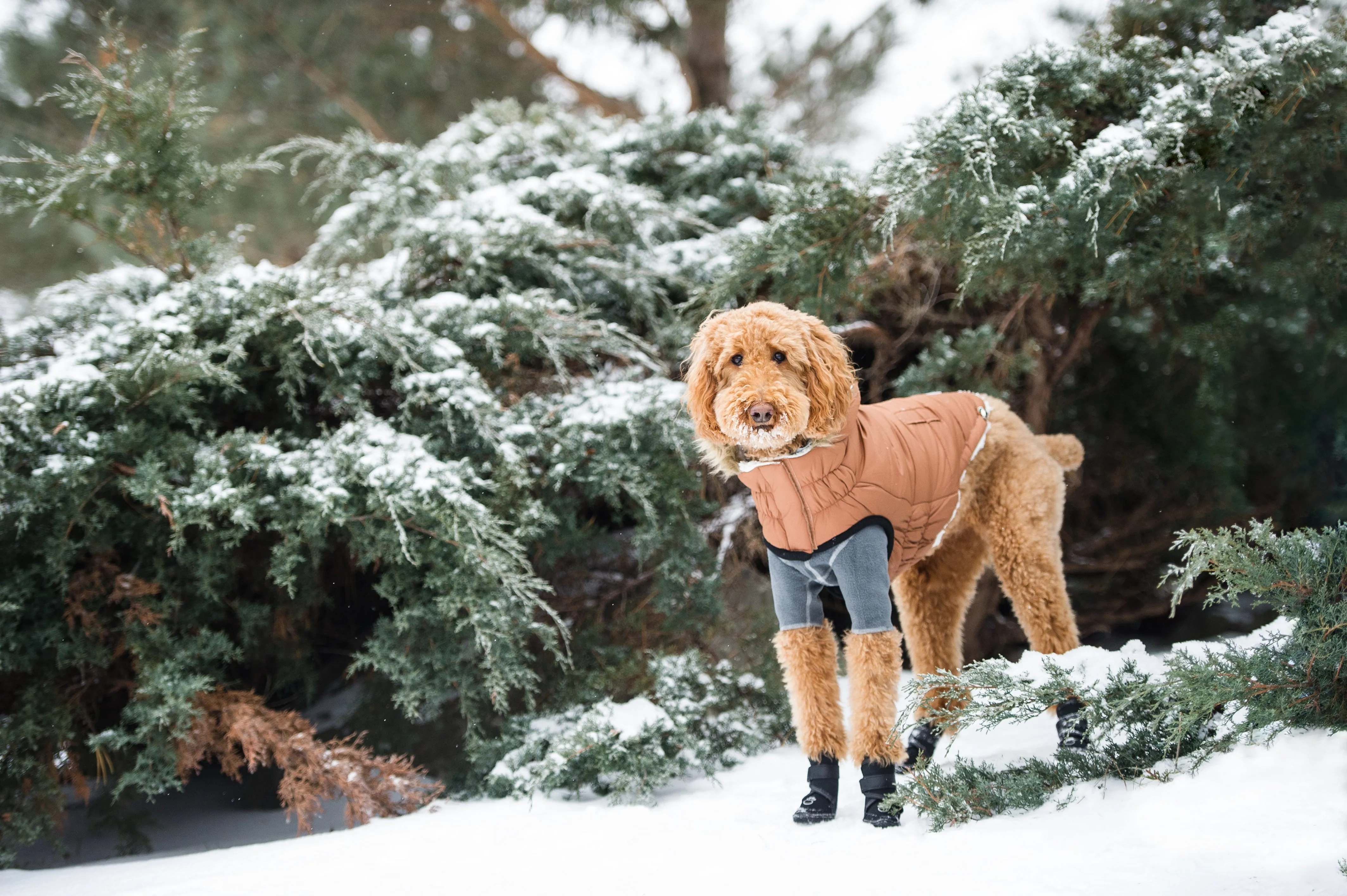 Urban Parka - Caramel