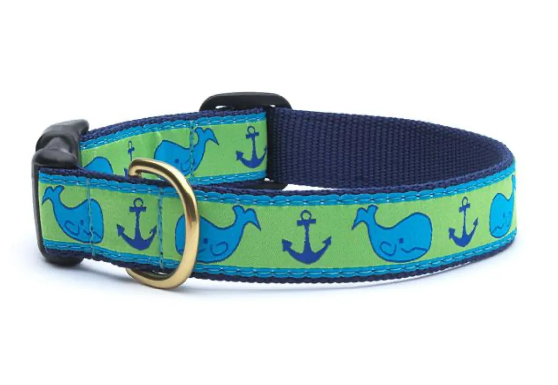 Whale Dog Collar